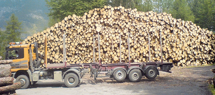 Holzhandel Partner Maschinenring